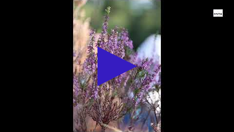 Link 25 september 2022