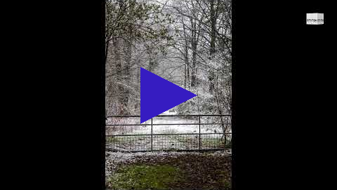 Link 20 november 2022